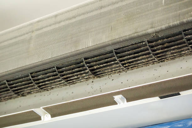 Best Emergency Air Duct Cleaning  in Dauphin, PA
